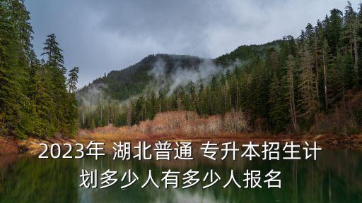 2016湖北專升本人數,湖北工程學院專升本人數