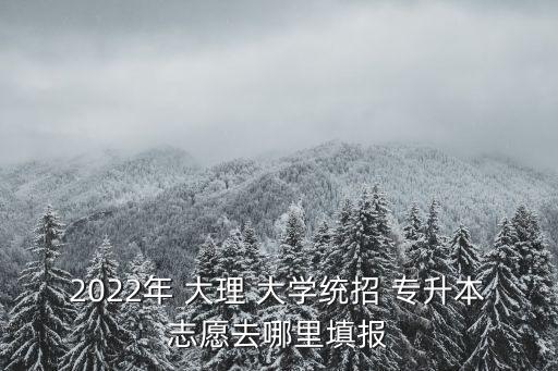 大理大學(xué)專升本專業(yè),云南大理大學(xué)專升本錄取分?jǐn)?shù)線