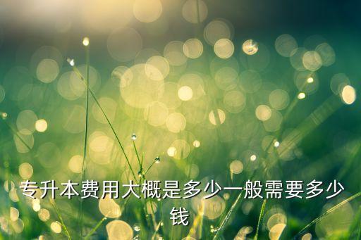  專升本費(fèi)用大概是多少一般需要多少錢