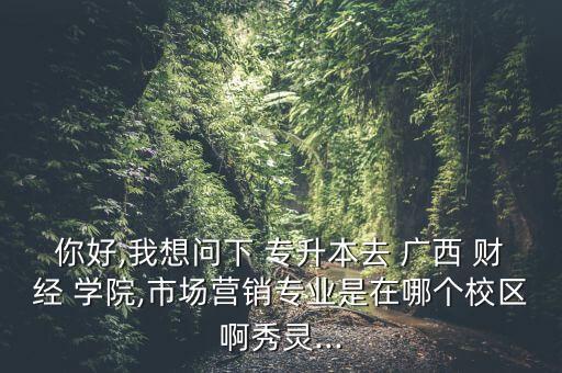 2016廣西財經(jīng)學院專升本,廣西財經(jīng)學院專升本在哪個校區(qū)