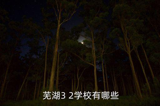  蕪湖3 2學校有哪些