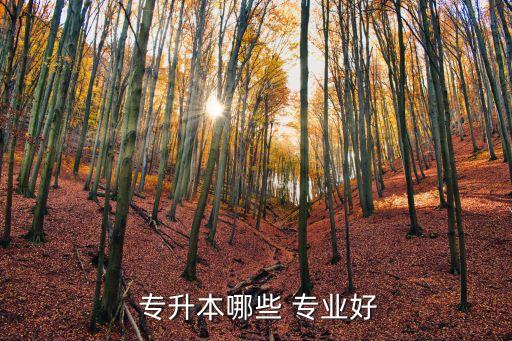 ?？茖W什么專業(yè)容易專升本,女生專科學什么專業(yè)比較有前途