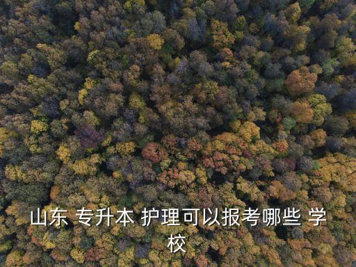 山東 專升本 護理可以報考哪些 學(xué)校