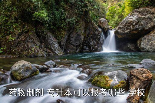 藥物制劑 專(zhuān)升本可以報(bào)考哪些 學(xué)校