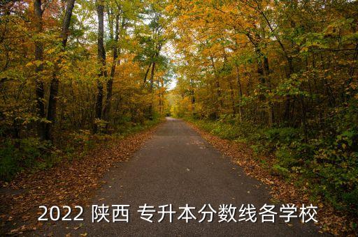 2022 陜西 專升本分數(shù)線各學(xué)校