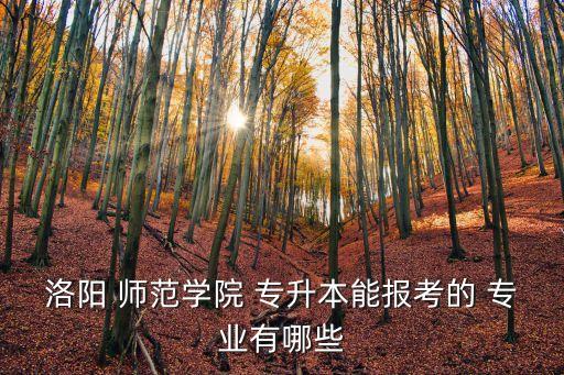 洛陽 師范學院 專升本能報考的 專業(yè)有哪些