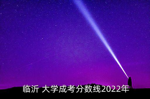  臨沂 大學成考分數(shù)線2022年