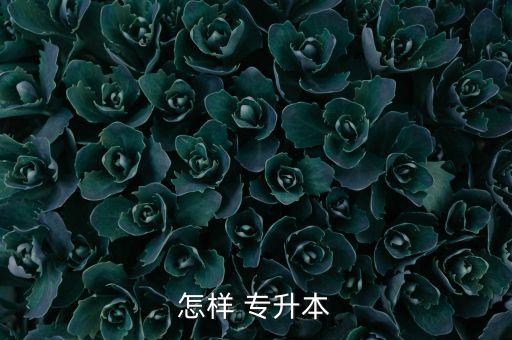 怎樣 專(zhuān)升本
