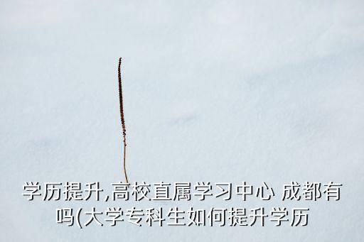 學(xué)歷提升,高校直屬學(xué)習(xí)中心 成都有嗎(大學(xué)專科生如何提升學(xué)歷