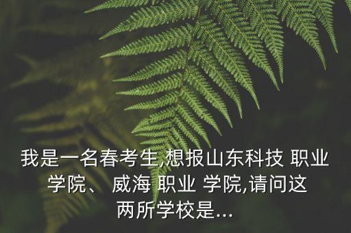 威海職業(yè)學(xué)院可以專(zhuān)升本嗎,威海食品藥品職業(yè)學(xué)院專(zhuān)升本