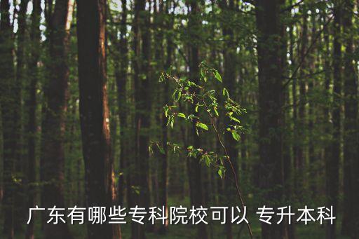  廣東有哪些?？圃盒？梢?專升本科