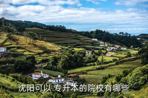 沈陽可以 專升本的院校有哪些
