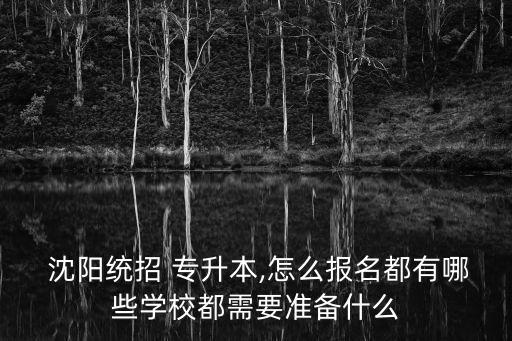  沈陽統(tǒng)招 專升本,怎么報(bào)名都有哪些學(xué)校都需要準(zhǔn)備什么