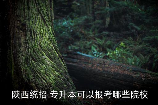  陜西統(tǒng)招 專升本可以報(bào)考哪些院校