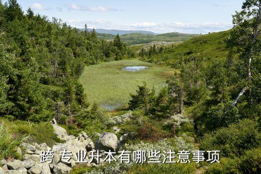 跨 專業(yè)升本有哪些注意事項