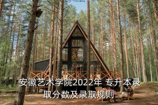  安徽藝術學院2022年 專升本錄取分數及錄取規(guī)則