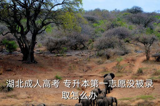 湖北成人高考 專升本第一志愿沒(méi)被錄取怎么辦