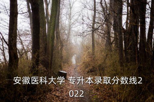  安徽醫(yī)科大學 專升本錄取分數(shù)線2022
