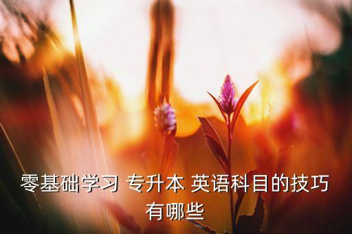 零基礎(chǔ)學(xué)習(xí) 專升本 英語科目的技巧有哪些