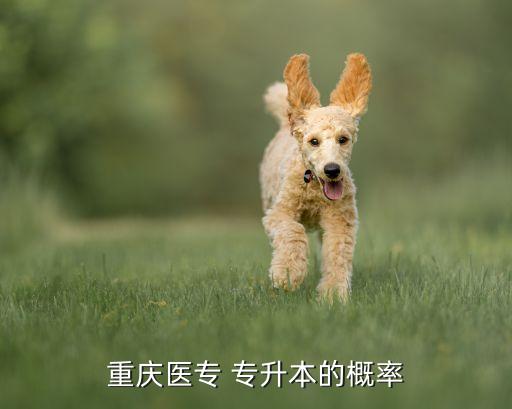 重慶醫(yī)科高等?？茖W(xué)院專升本,重慶高等醫(yī)科學(xué)院錄取分?jǐn)?shù)
