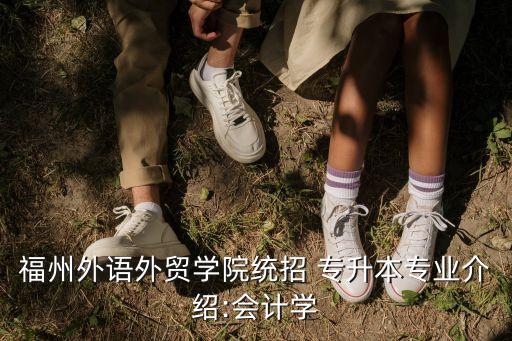 福州外語外貿(mào)學(xué)院統(tǒng)招 專升本專業(yè)介紹:會(huì)計(jì)學(xué)