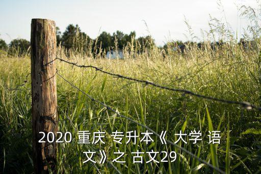 2020 重慶 專升本《 大學(xué) 語文》之 古文29