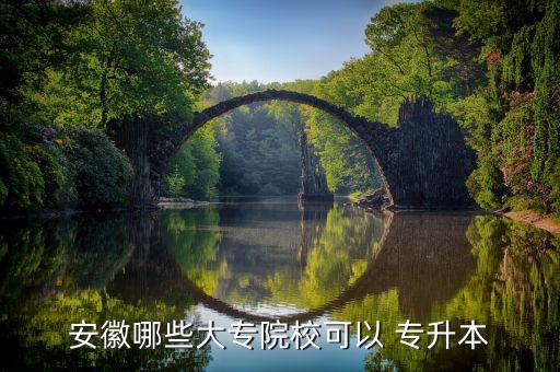 安徽哪些大專院?？梢?專升本