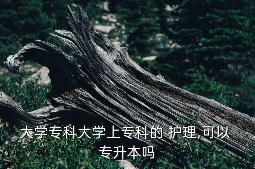 大學(xué)?？拼髮W(xué)上專科的 護(hù)理,可以 專升本嗎