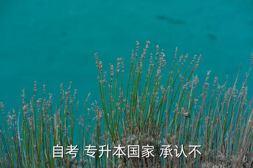 自考 專升本國(guó)家 承認(rèn)不