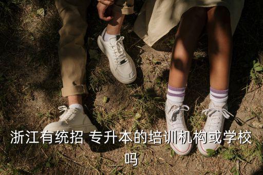 浙江省專升本培訓部