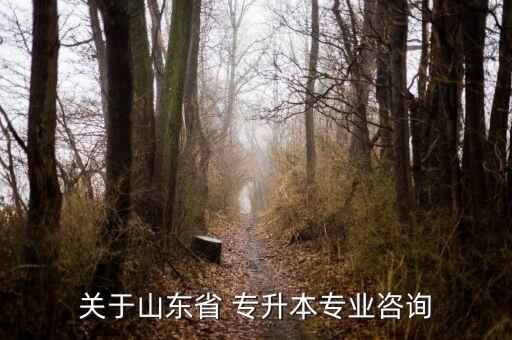 關于山東省 專升本專業(yè)咨詢