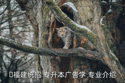 ?福建統(tǒng)招 專升本廣告學 專業(yè)介紹