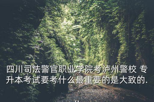 政法干警和專(zhuān)升本