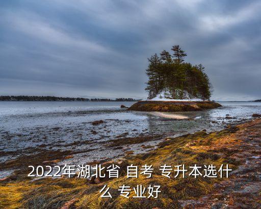 2022年湖北省 自考 專(zhuān)升本選什么 專(zhuān)業(yè)好