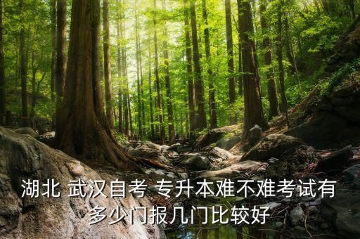 2018武漢專升本哪個好考一些,武漢輕工大學專升本在哪個校區(qū)