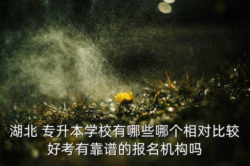 湖北 專升本學(xué)校有哪些哪個(gè)相對(duì)比較好考有靠譜的報(bào)名機(jī)構(gòu)嗎