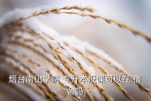 煙臺(tái)南山學(xué)院 專(zhuān)升本沒(méi)課可以在 宿舍嗎