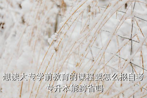 想讀大專(zhuān)學(xué)前教育的課程要怎么報(bào)自考 專(zhuān)升本能跨省嗎