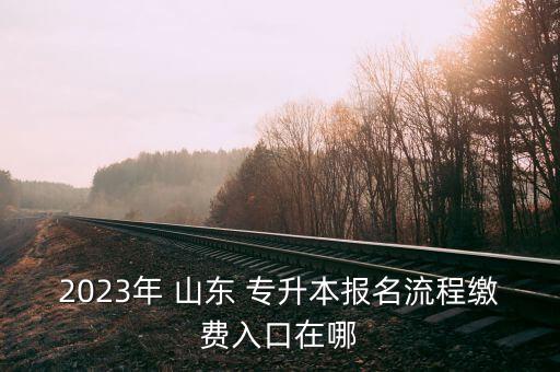 2023年 山東 專(zhuān)升本報(bào)名流程繳費(fèi)入口在哪