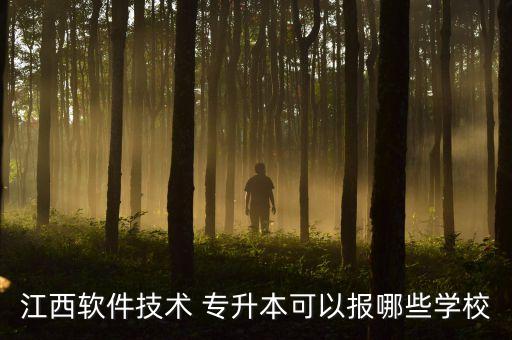 江西軟件技術(shù) 專升本可以報哪些學校