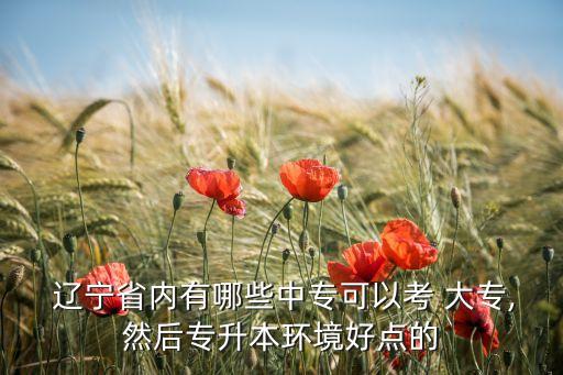 遼寧大專升本科的學(xué)校,大專升本科的學(xué)校有哪些