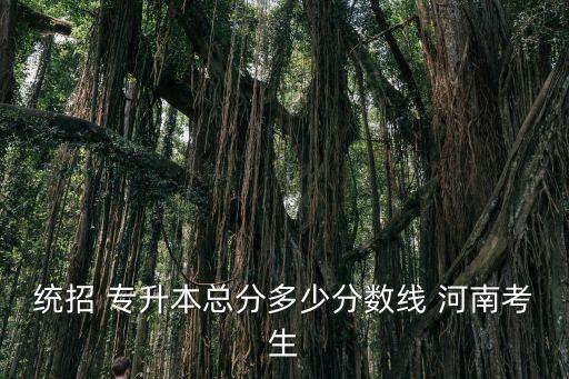 統(tǒng)招 專升本總分多少分數(shù)線 河南考生