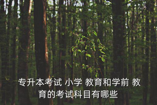 專(zhuān)升本考試 小學(xué) 教育和學(xué)前 教育的考試科目有哪些