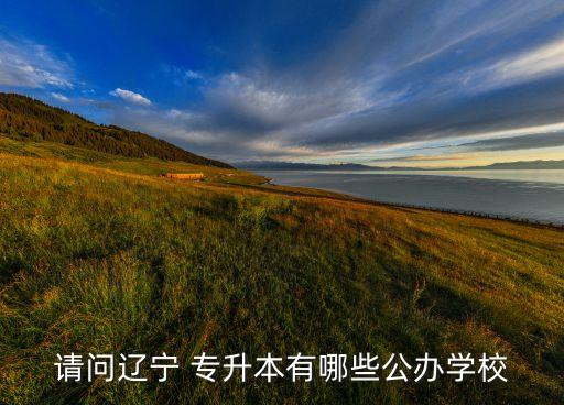 請(qǐng)問(wèn)遼寧 專(zhuān)升本有哪些公辦學(xué)校