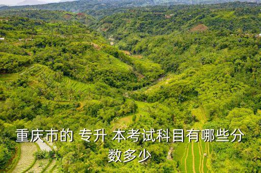 2018臨床專升本考什么,臨床專升本醫(yī)學(xué)綜合考什么