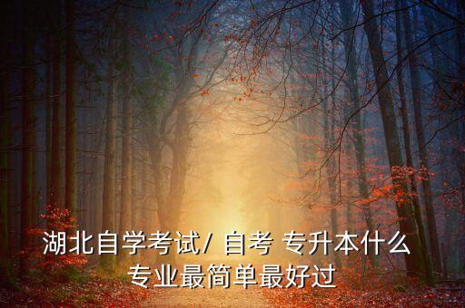湖北自學(xué)考試/ 自考 專升本什么 專業(yè)最簡(jiǎn)單最好過