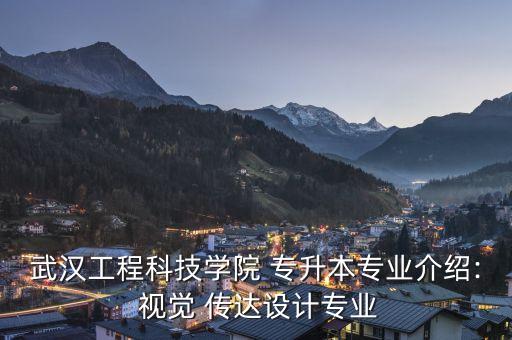 視覺傳達專升本試題,河北視覺傳達專升本報考院校