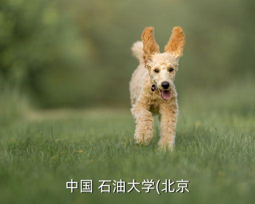 中國(guó) 石油大學(xué)(北京