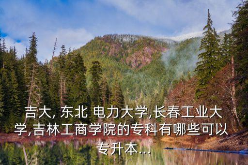 吉大, 東北 電力大學(xué),長春工業(yè)大學(xué),吉林工商學(xué)院的?？朴心男┛梢?專升本...
