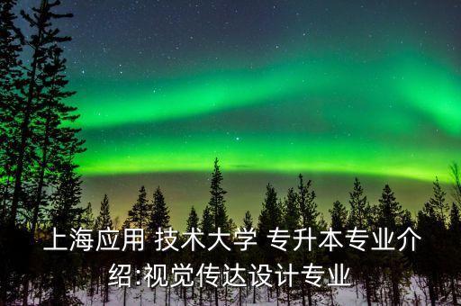  上海應用 技術大學 專升本專業(yè)介紹:視覺傳達設計專業(yè)